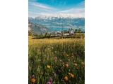 Rigi Swiss Travel System  Tobias Ryser, 2024 